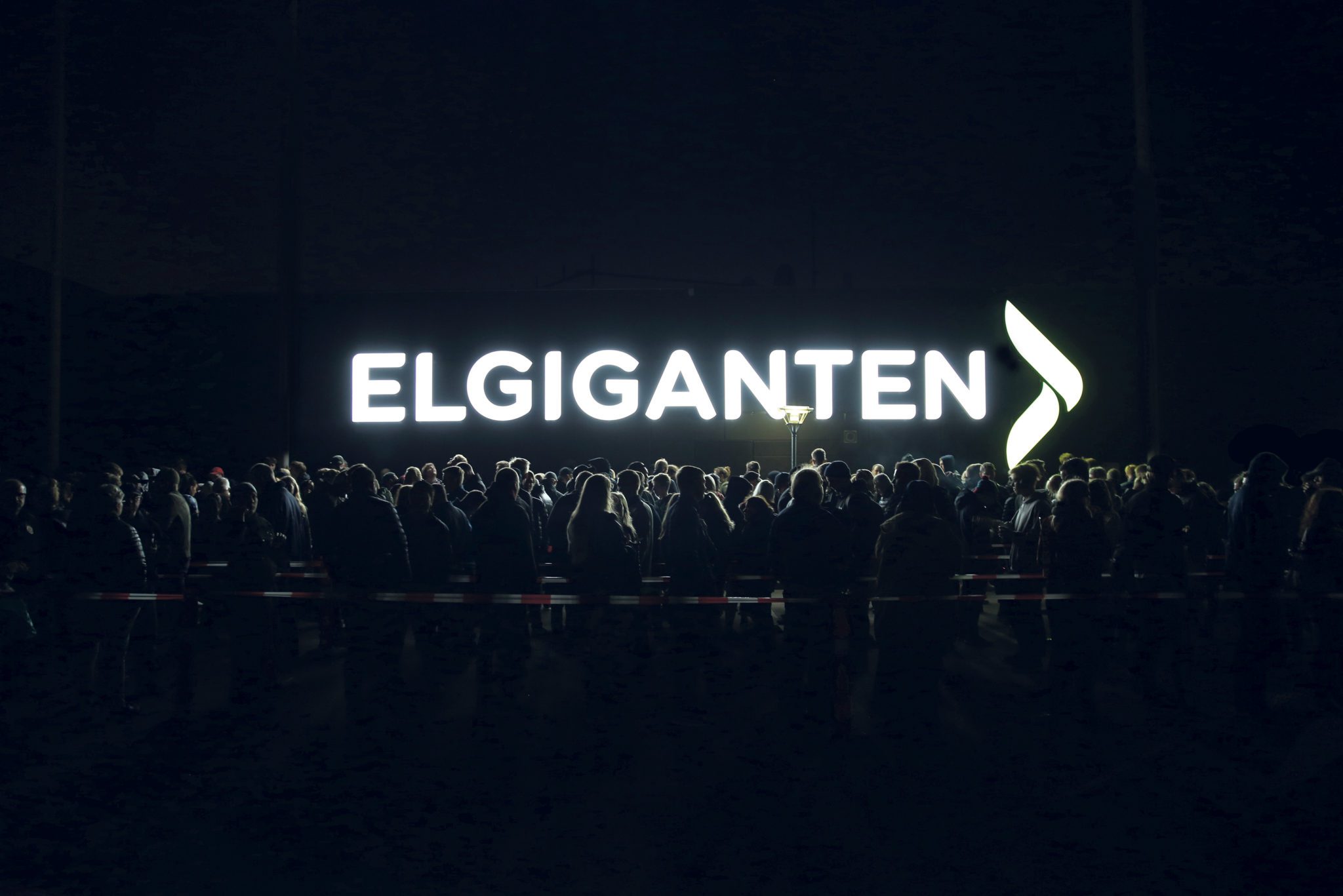 Read more about the article Black Friday blev motor i Elgigantens digitalisering